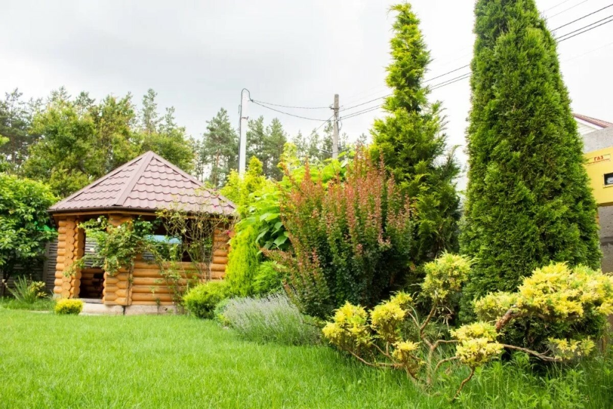 https://tyumen.tgv-stroy.ru/storage/app/uploads/public/637/ef4/fb3/637ef4fb3605f391429275.png